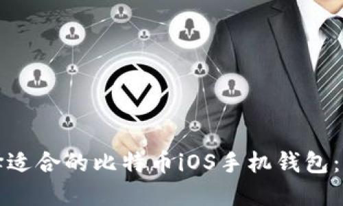 如何选择适合的比特币iOS手机钱包：全面指南