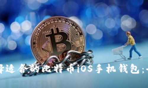 如何选择适合的比特币iOS手机钱包：全面指南