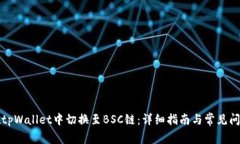 如何在tpWallet中切换至BS