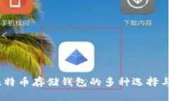 全面解析：比特币存储钱