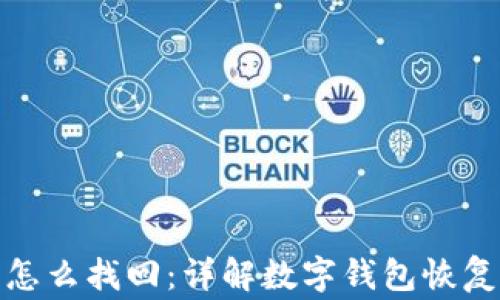 
数字货币放钱包怎么找回：详解数字钱包恢复方式和注意事项