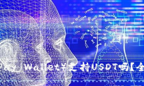 比太钱包（BitPay Wallet）支持USDT吗？全面解析与指南