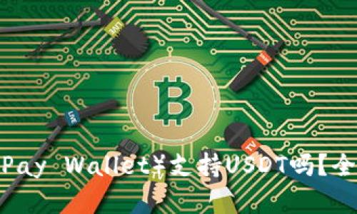 比太钱包（BitPay Wallet）支持USDT吗？全面解析与指南