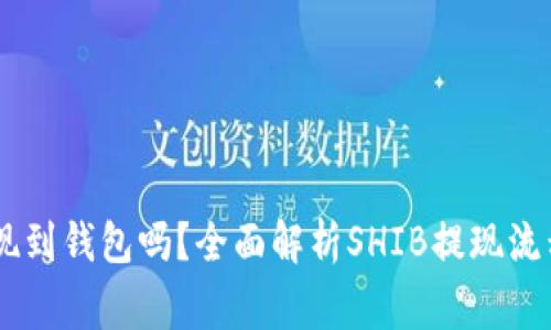 SHIB可以提现到钱包吗？全面解析SHIB提现流程及注意事项