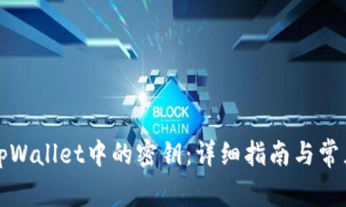 如何查看tpWallet中的密钥：详细指南与常见问题解答