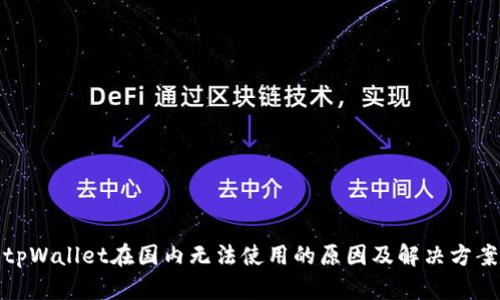 tpWallet在国内无法使用的原因及解决方案