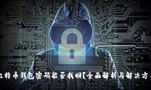 比特币钱包密码能否找回？全面解析与解决方案