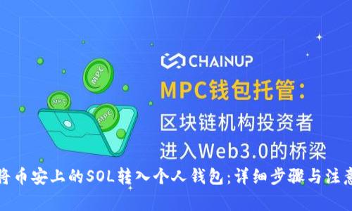 如何将币安上的SOL转入个人钱包：详细步骤与注意事项