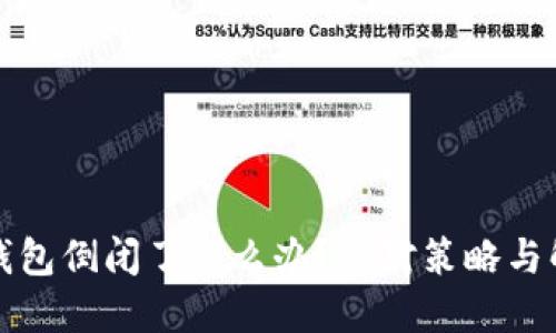 比特币钱包倒闭了怎么办？应对策略与解决方案